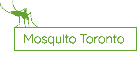 Mosquito Toronto