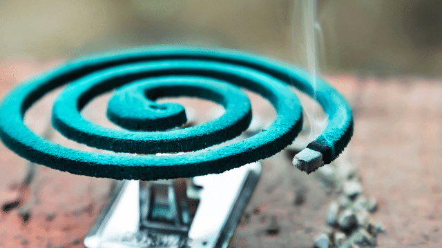 mosquito coil