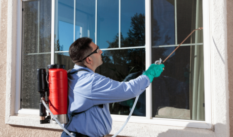 brampton pest control service