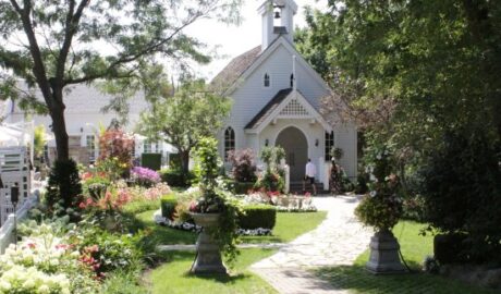 village of kleinburg mosquito removal